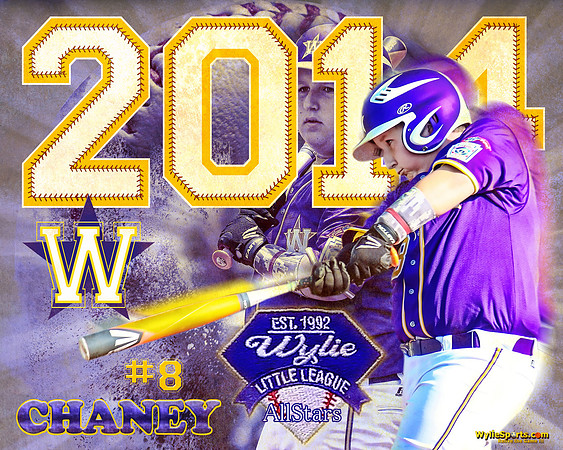 AllStars_16x20-Chaney2