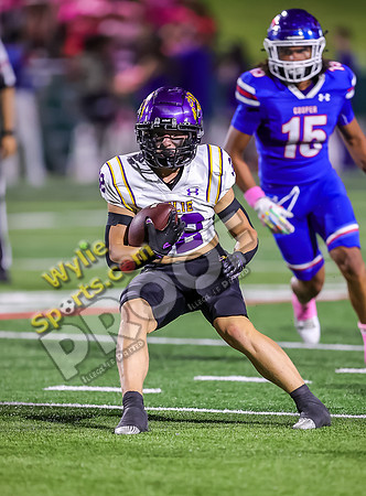 10-04-2024 Wylie v Cooper TS-790