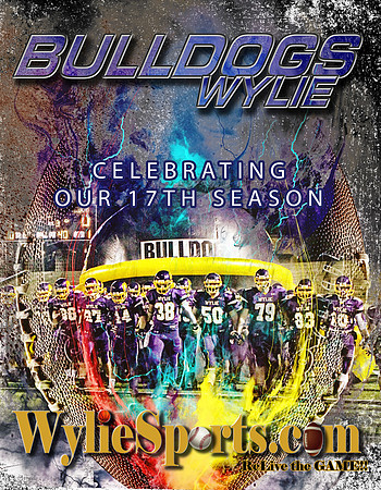 Wyliesports_2019
