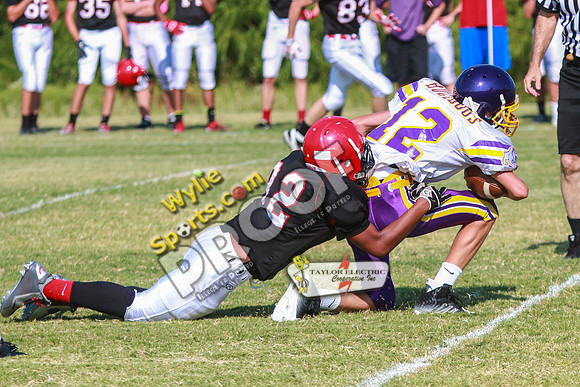 IMG_8151