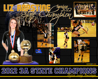 Rapstine_StateVB2012_16x20_02fix