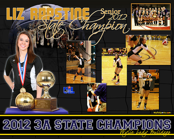 Rapstine_StateVB2012_16x20_02fix