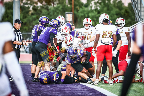 091225KB00013954