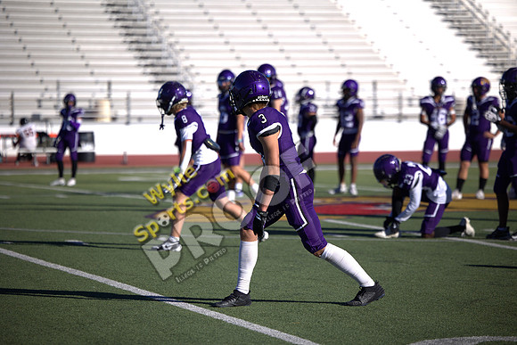 3 pregame