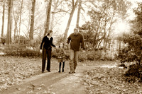 2012_12_12_0025art01