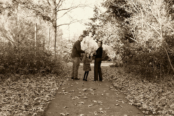 2012_12_12_0046art01