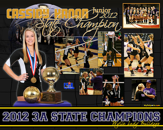 HANNA_StateVB2012_16x20_01