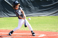 WYLIE LITTLE LEAGUE 2026