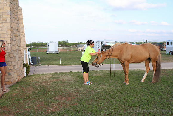 2013_05_08_0461a