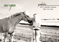 Morgan_Front_01