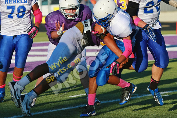 100113KB1396
