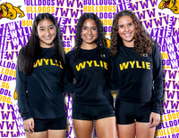 Wylie Background copy 10