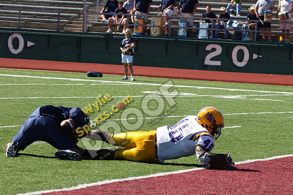 20081018_0261