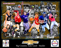 2016FCA_14x11_01_bcauto