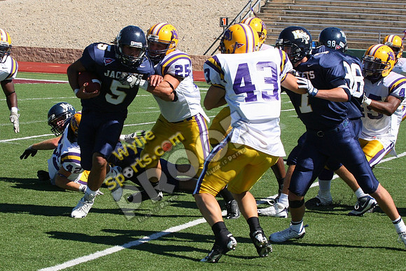 20081018_0279