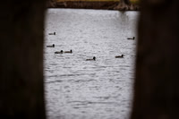 031621_KB53835