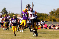 2008_11_08_0098