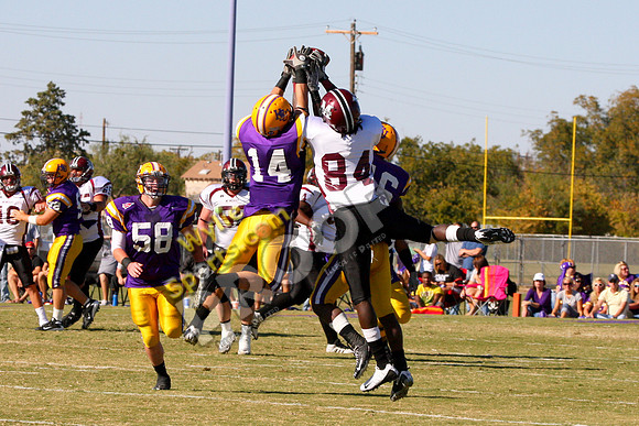 2008_11_08_0098