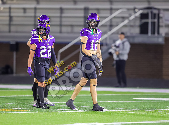 11-22-2024 Wylie v Anna TS-387