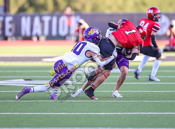 9-8-2023 Wylie v Lub Cooper TS-301