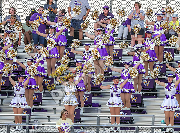 9-8-2023 Wylie v Lub Cooper TS-322