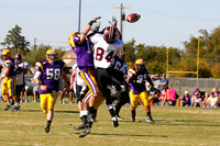 2008_11_08_0099