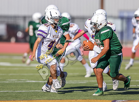 10-11-2023 SA Glenn Green v Wylie 8th East White TS-238