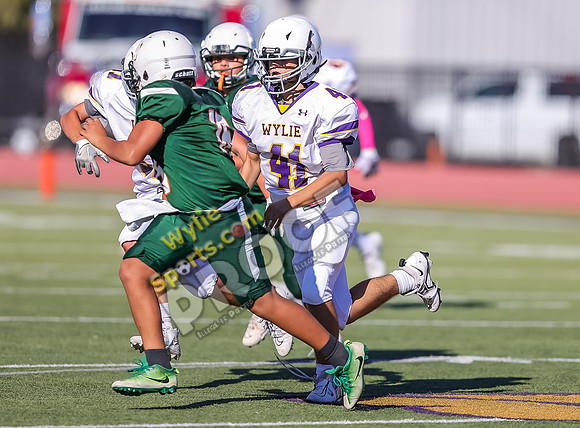 10-11-2023 SA Glenn Green v Wylie 8th East White TS-240