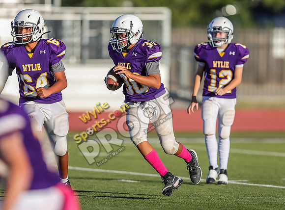 10-11-2023 SA Glenn Orange v Wylie 8th East Purple TS-512