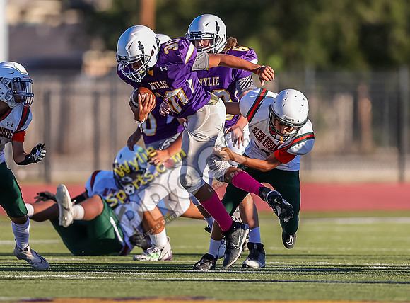 10-11-2023 SA Glenn Orange v Wylie 8th East Purple TS-520