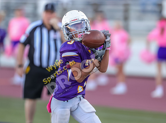 10-11-2023 SA Glenn Orange v Wylie 8th East Purple TS-526
