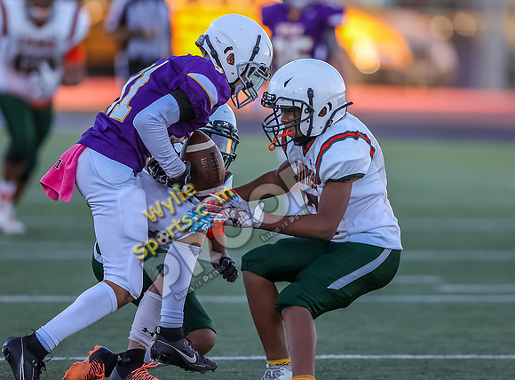10-11-2023 SA Glenn Orange v Wylie 8th East Purple TS-552