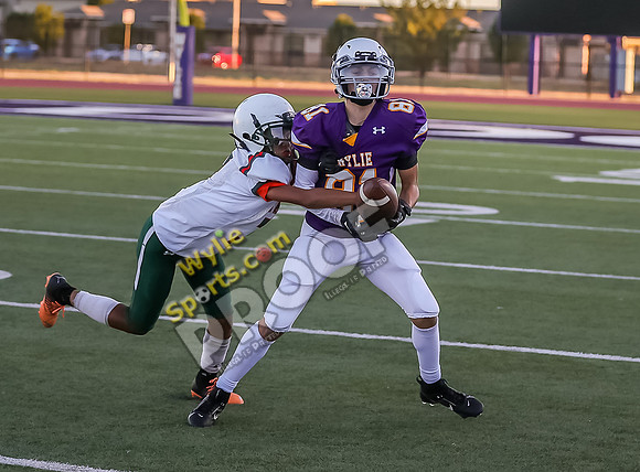 10-11-2023 SA Glenn Orange v Wylie 8th East Purple TS-566