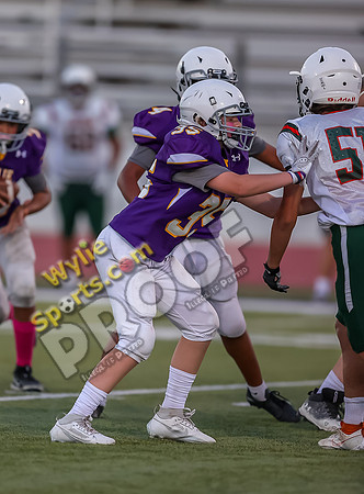 10-11-2023 SA Glenn Orange v Wylie 8th East Purple TS-610
