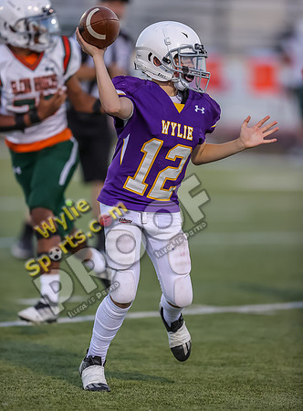10-11-2023 SA Glenn Orange v Wylie 8th East Purple TS-615