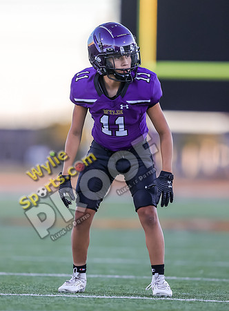 10-19-2023 Wylie JV TS-229