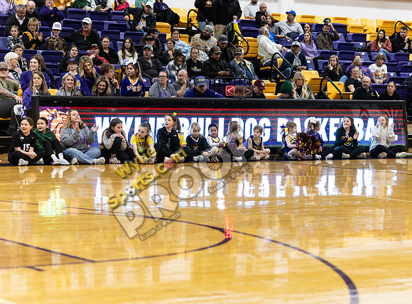 01-02-2024 Wylie Cheerleaders1072-CR3