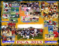 2015FCA_14x11_01_AW