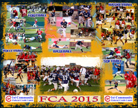 2015FCA_14x11_01_FCU