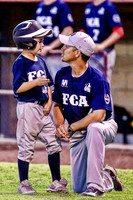 2014 FCA Baseball