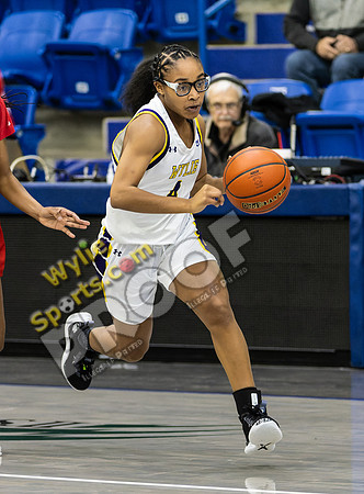 02-13-2024 BKB FV Wylie v Amarillo Tascosa by MW1005-CR3