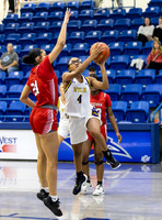 02-13-2024 BKB FV Wylie v Amarillo Tascosa by MW1006-CR3