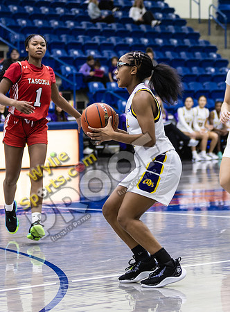 02-13-2024 BKB FV Wylie v Amarillo Tascosa by MW1088-CR3