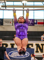 04-19-24 Regional Gymnastics Meet RK-8