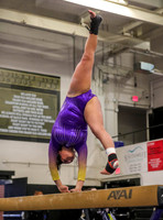 04-19-24 Regional Gymnastics Meet RK-91