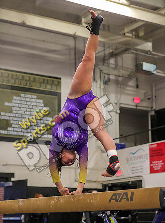 04-19-24 Regional Gymnastics Meet RK-91