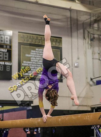 04-19-24 Regional Gymnastics Meet RK-93