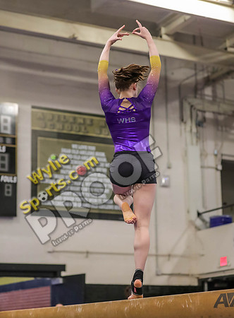 04-19-24 Regional Gymnastics Meet RK-95