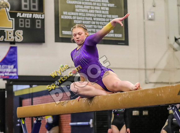 04-19-24 Regional Gymnastics Meet RK-111
