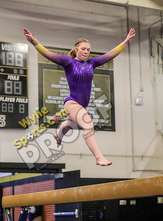04-19-24 Regional Gymnastics Meet RK-121